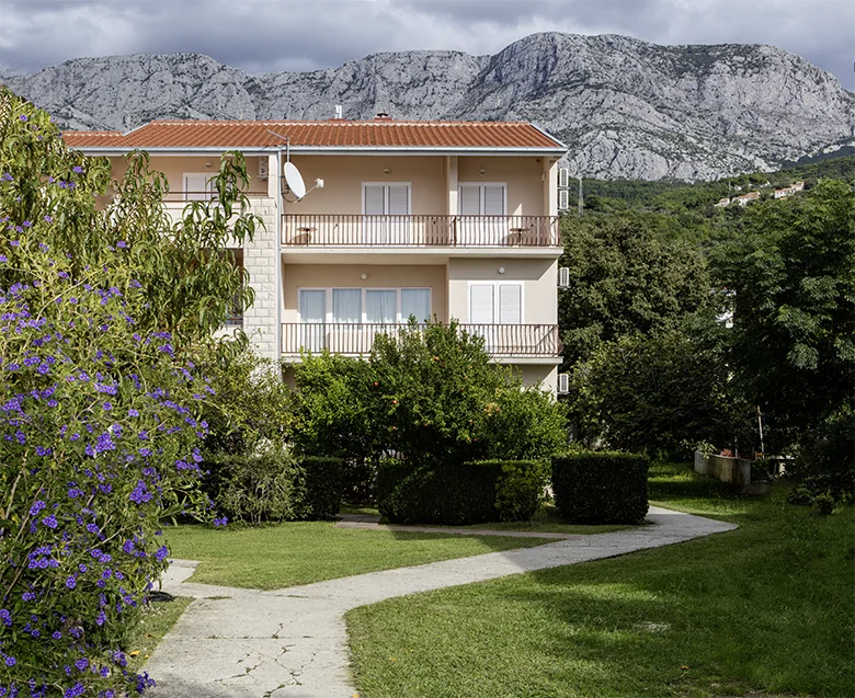 house surrounded by greens