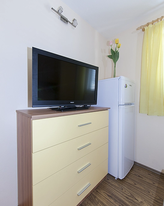 TV, refrigerator - Fernsehen und Kühlschrank